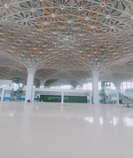 WhatsApp Image 2024-10-29 at 4.28.37 PM (1)