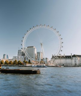 pexels-ditmar-tabacaru-1772573629-29137293