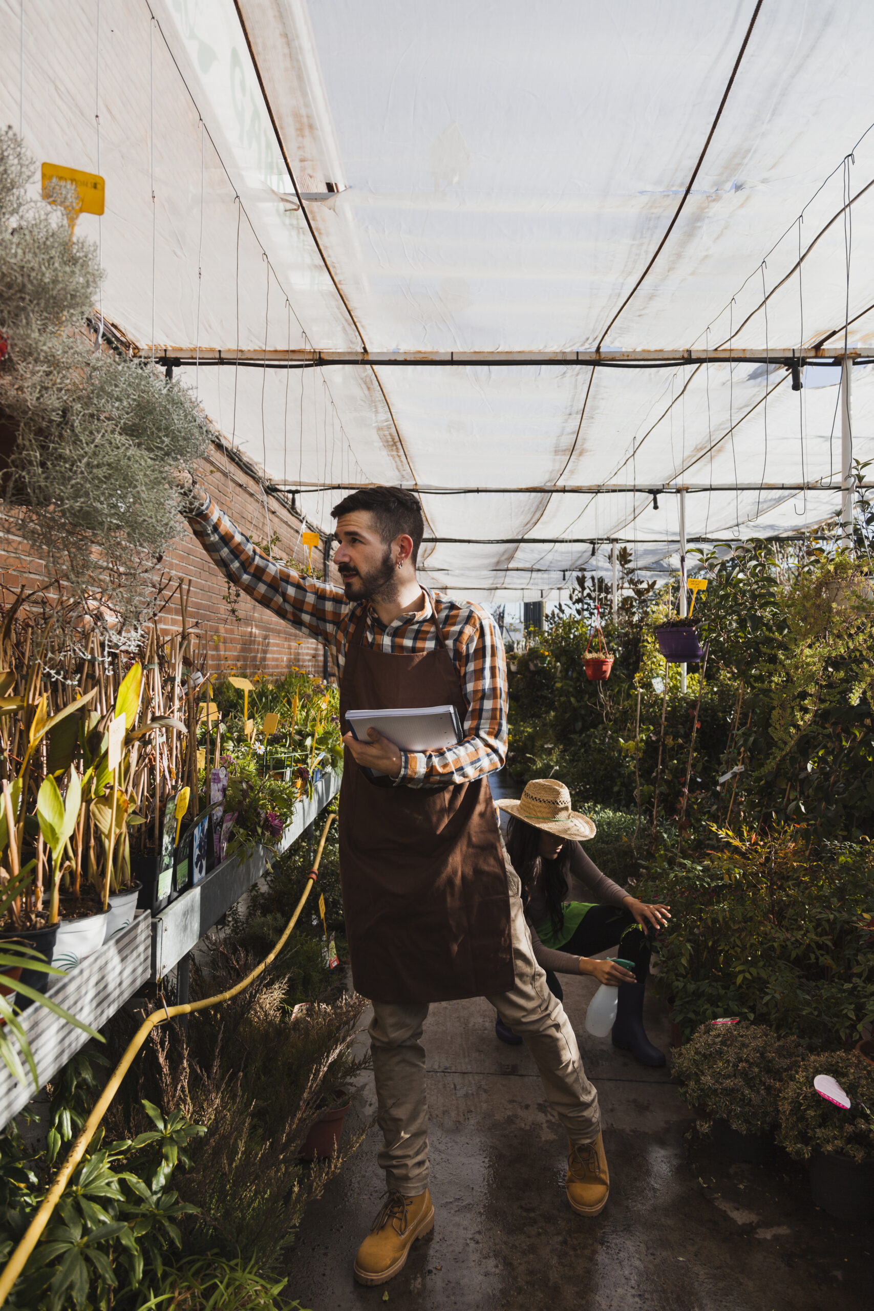 gardeners-inspecting-flowers gardeners-inspecting-flowers